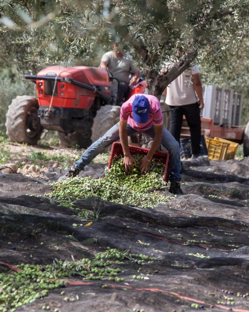 Azienda Agricola Mandranova Palma di Montechiaro Exteriér fotografie