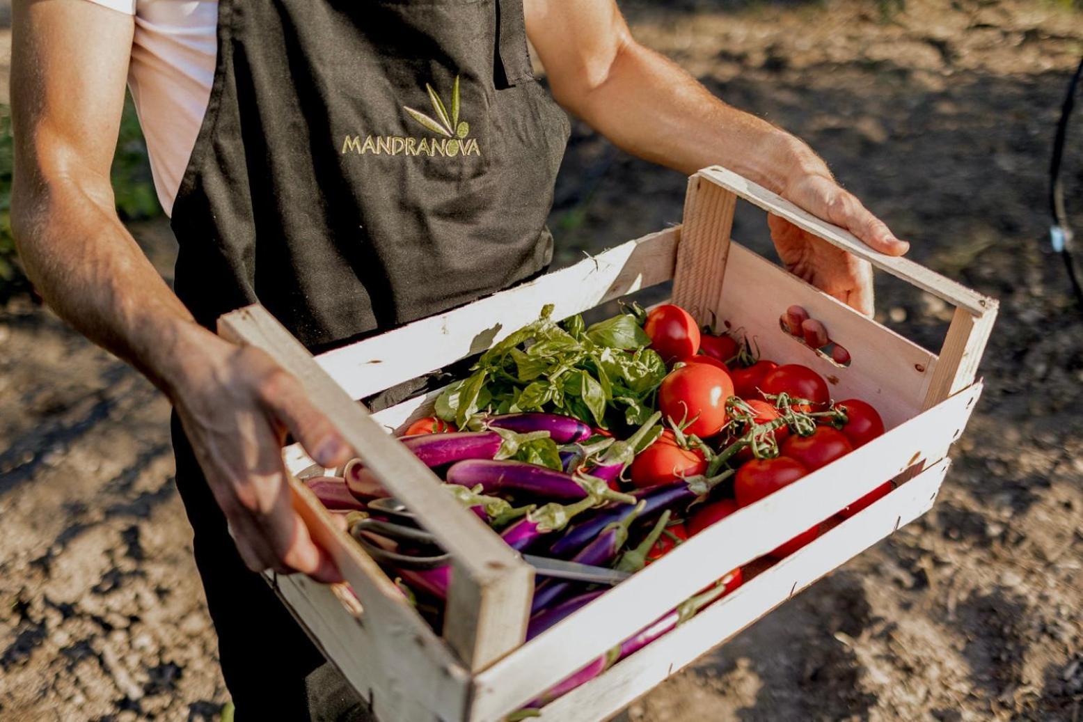Azienda Agricola Mandranova Palma di Montechiaro Exteriér fotografie