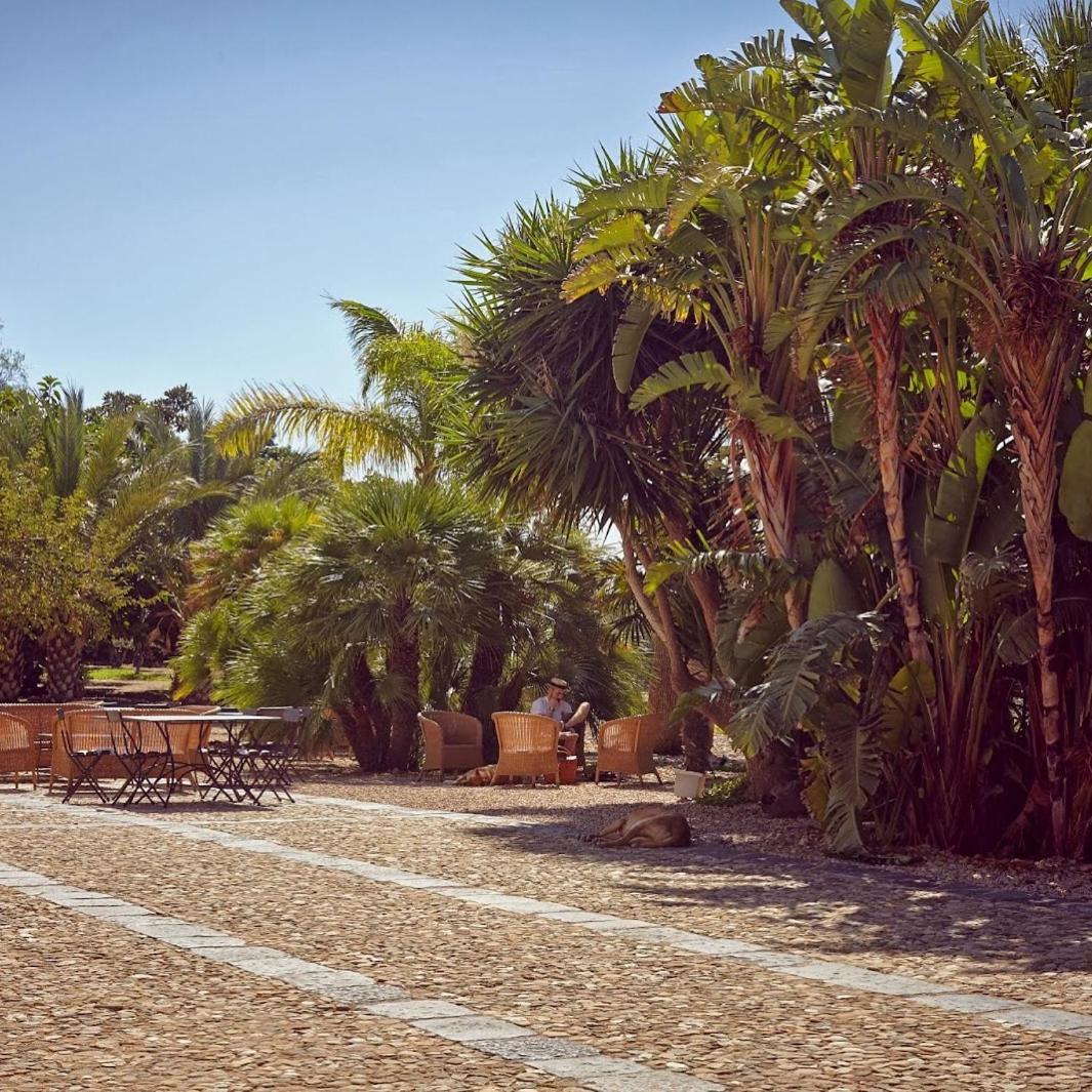 Azienda Agricola Mandranova Palma di Montechiaro Exteriér fotografie