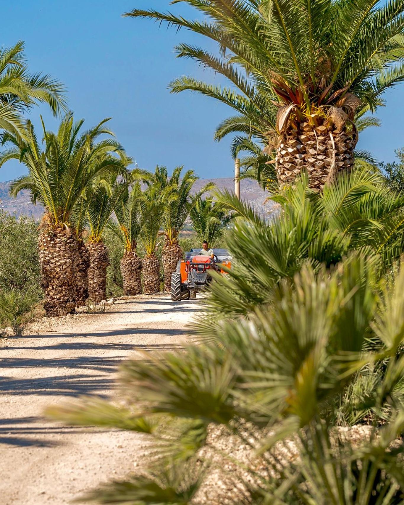 Azienda Agricola Mandranova Palma di Montechiaro Exteriér fotografie