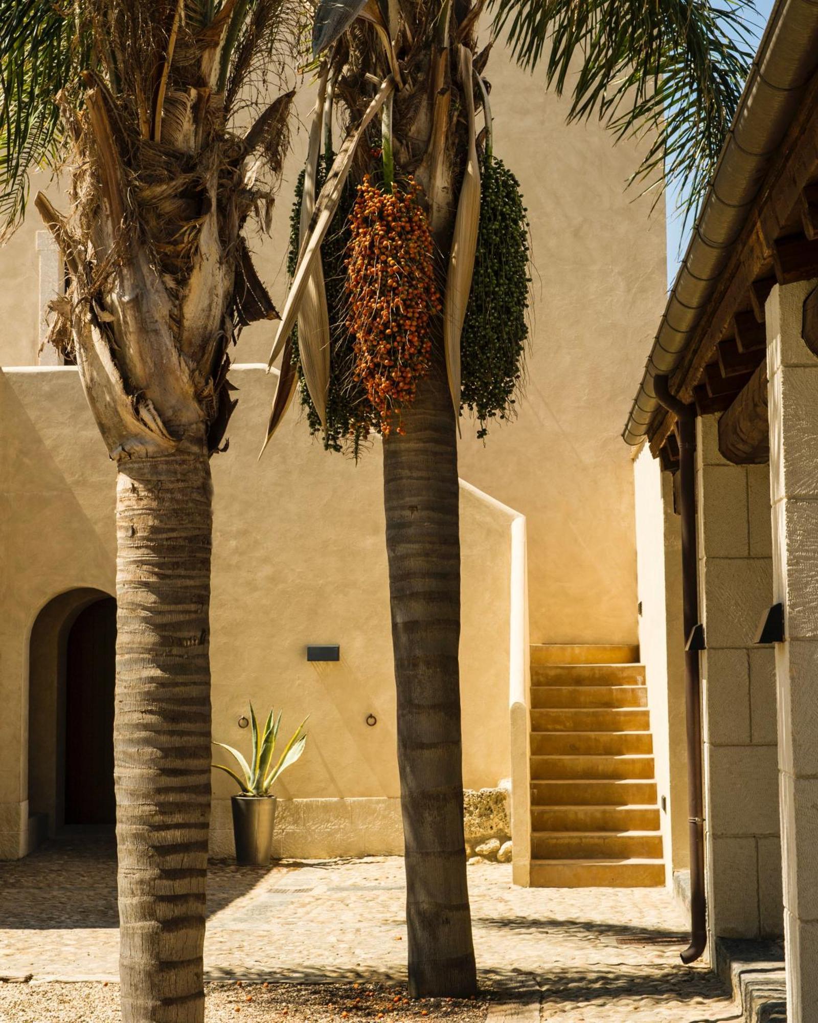 Azienda Agricola Mandranova Palma di Montechiaro Exteriér fotografie