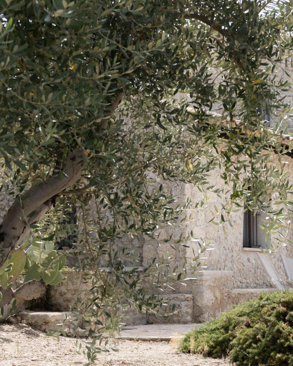 Azienda Agricola Mandranova Palma di Montechiaro Exteriér fotografie